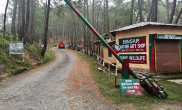 binsar trek
