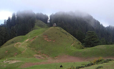 Chakrata Mussoorie Holiday Packages