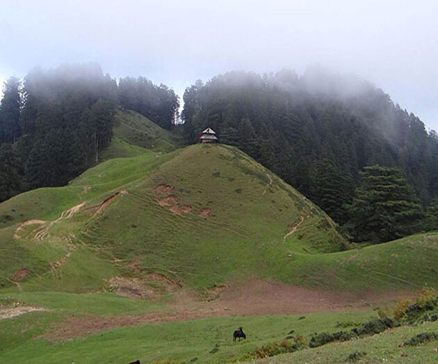 Chakrata Mussoorie Holiday Packages