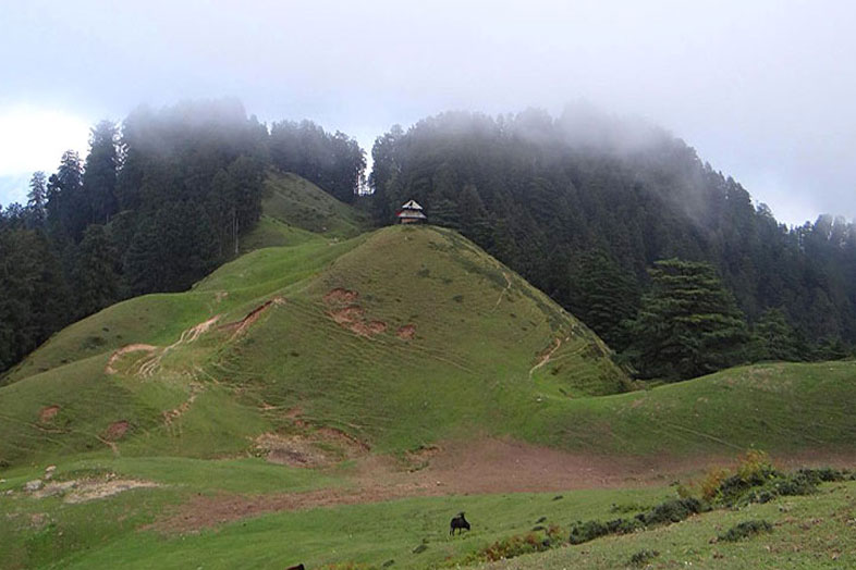 Chakrata Mussoorie Holiday Packages