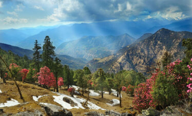 Nagtibba Trek Uttarakhand India