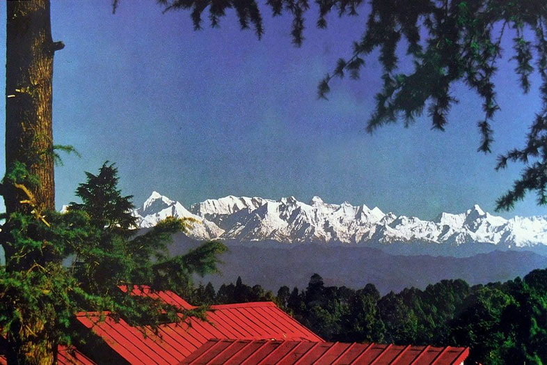 ranikhet holiday packages